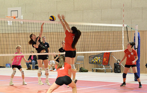 68e2a24e54c20_VAL3020057.JPG