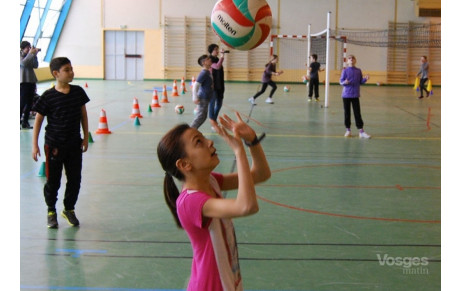 Volley : les enfants de l’élémentaire de Golbey montent au filet 
