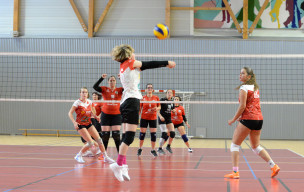 REG : CAME - SAINT-DIE