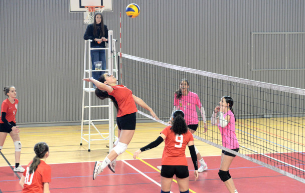 M15 : CAME1 - VNVB - METZ